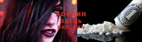 ПСИЛОЦИБИНОВЫЕ ГРИБЫ Абдулино