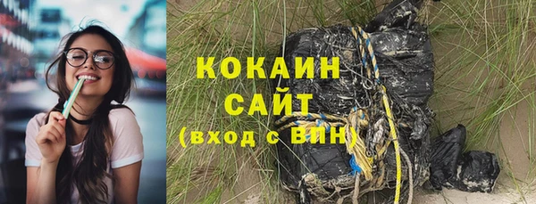 шишки Алзамай
